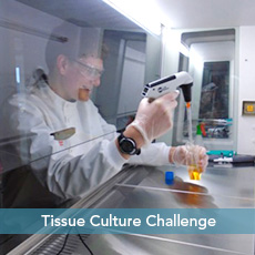 tissue culture challenge project